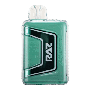 Miami Mint Flavor RAZ TN9000 Disposable Vape